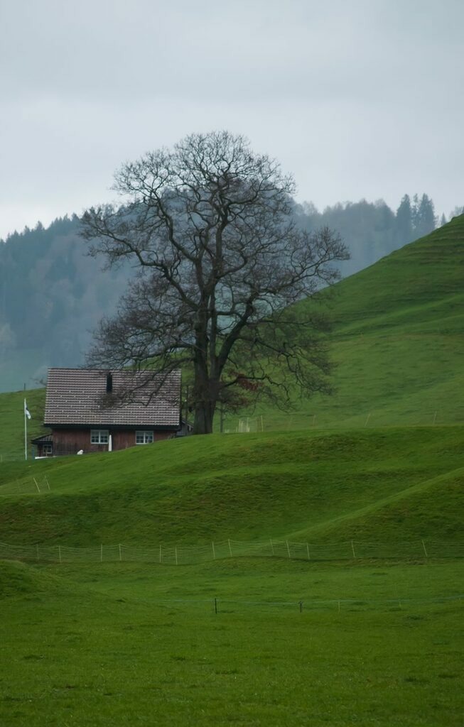 PSX_20221102_230137 | mtkfoto_ - Realisiert mit Pictrs.com