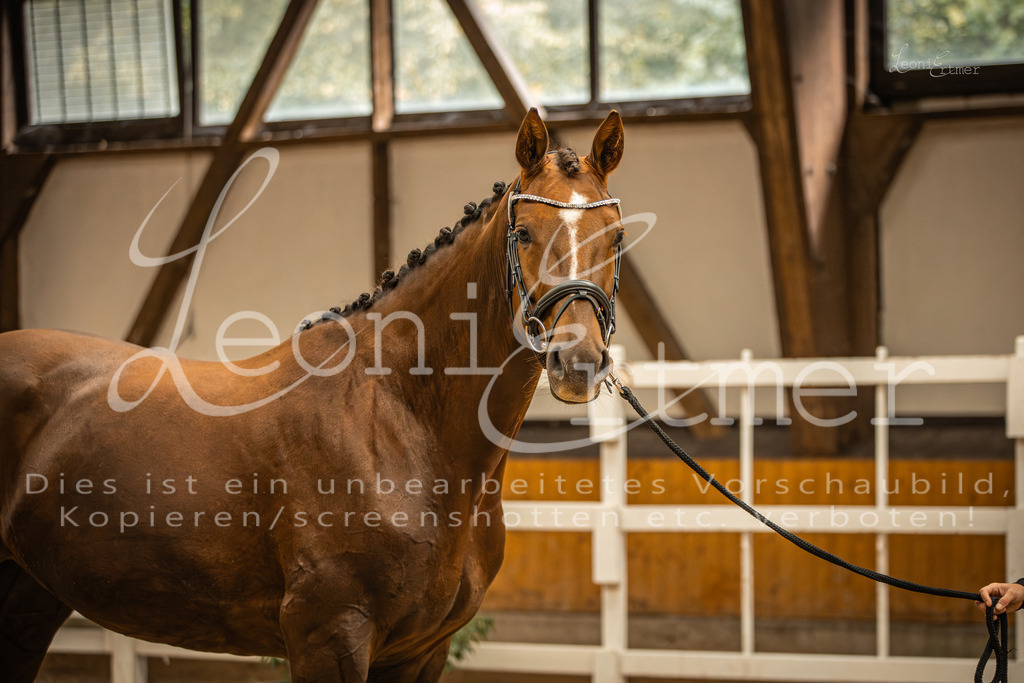 2FS_L00078 | Leoni Ertmer Photography - Realisiert mit Pictrs.com