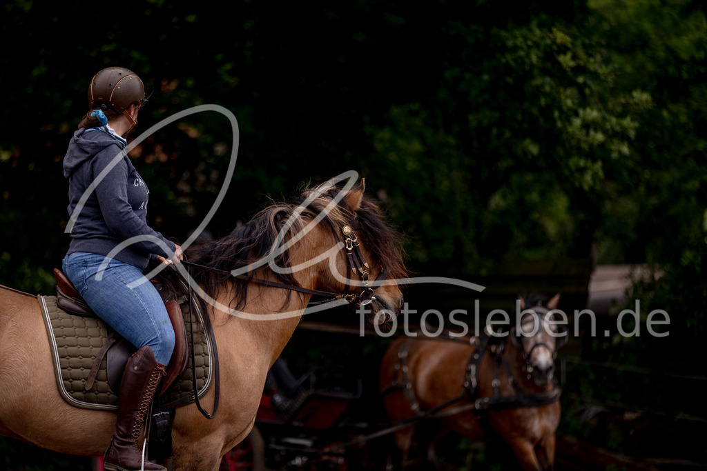 846A0693 | fotosleben - Realisiert mit Pictrs.com