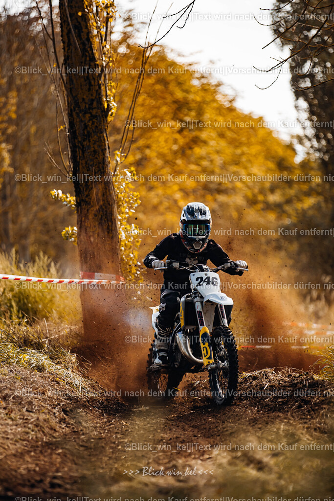 E68A2487 | blick_win_kel