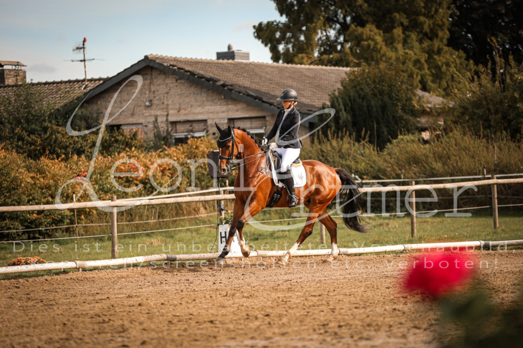 17.SoDrM00190 | Leoni Ertmer Photography - Realisiert mit Pictrs.com