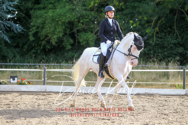 DKP45517 | Turniersportfotografie; Pferdefotografie; Dressurfotografie