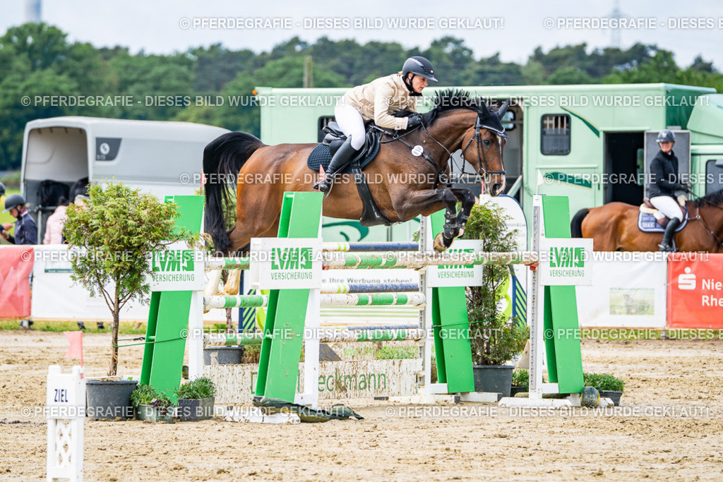 DSC03929 | Pferdegrafie