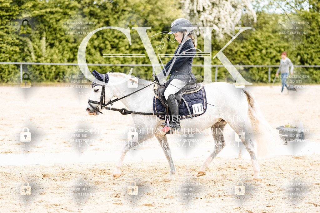 CK904566 | Turnierfotografie Pferdefotografie Trier Rheinland-Pfalz Pferdesport Reitsport Tierfotografie Sportfotografie Pferdevideo Pferdevideografie Equestrianvideography equestrianphotography  - Realisiert mit Pictrs.com