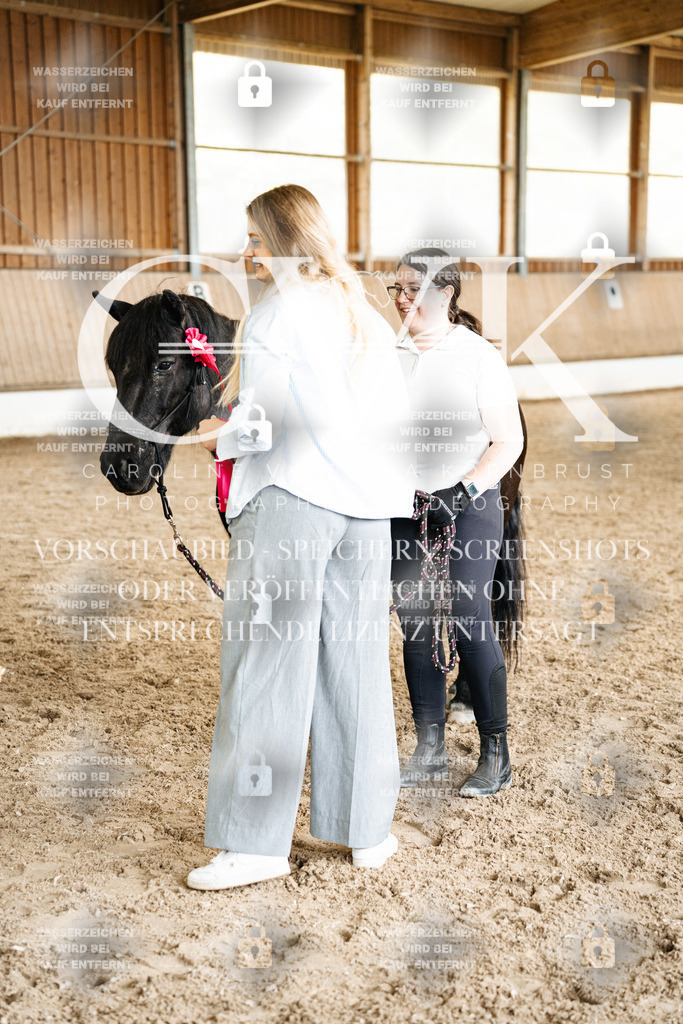 CK703295 | Turnierfotografie Pferdefotografie Trier Rheinland-Pfalz Pferdesport Reitsport Tierfotografie Sportfotografie Pferdevideo Pferdevideografie Equestrianvideography equestrianphotography  - Realized with Pictrs.com