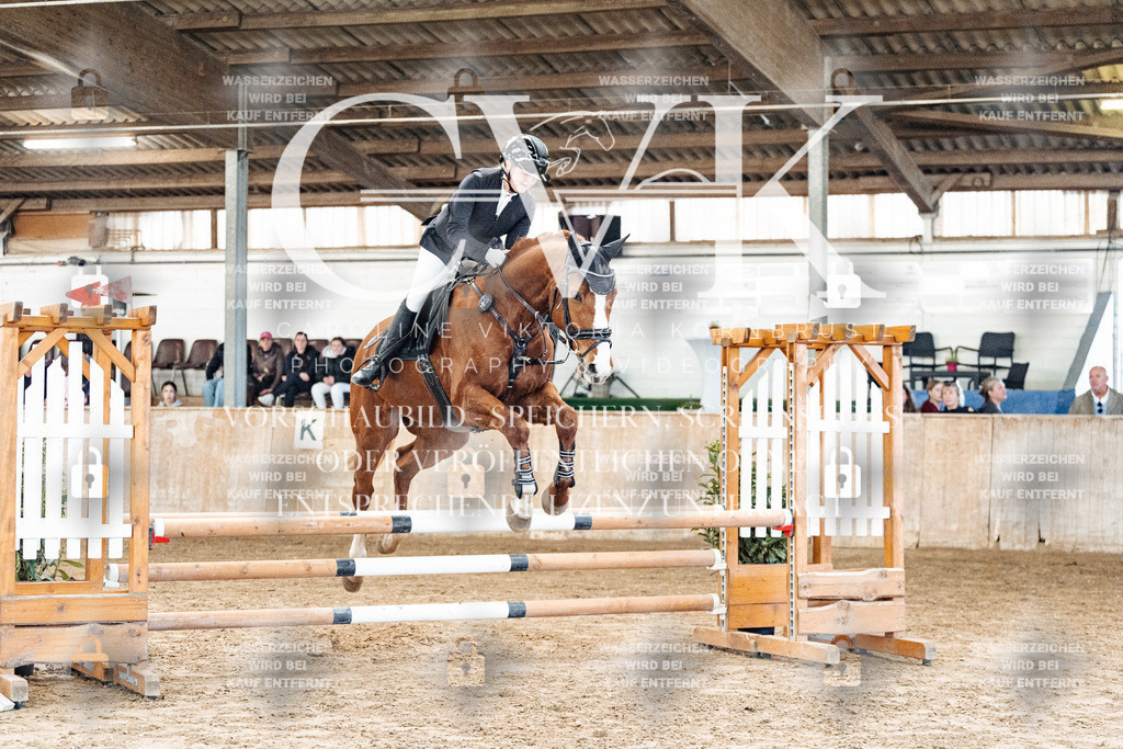 CK904109 | Turnierfotografie Pferdefotografie Trier Rheinland-Pfalz Pferdesport Reitsport Tierfotografie Sportfotografie Pferdevideo Pferdevideografie Equestrianvideography equestrianphotography  - Realisiert mit Pictrs.com