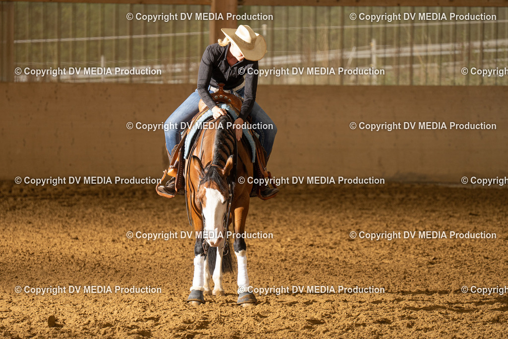 LAU01356 | dv-media-shop - Realisiert mit Pictrs.com