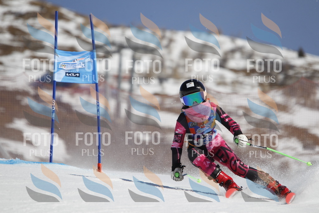 _U3G9559 | holidayphoto