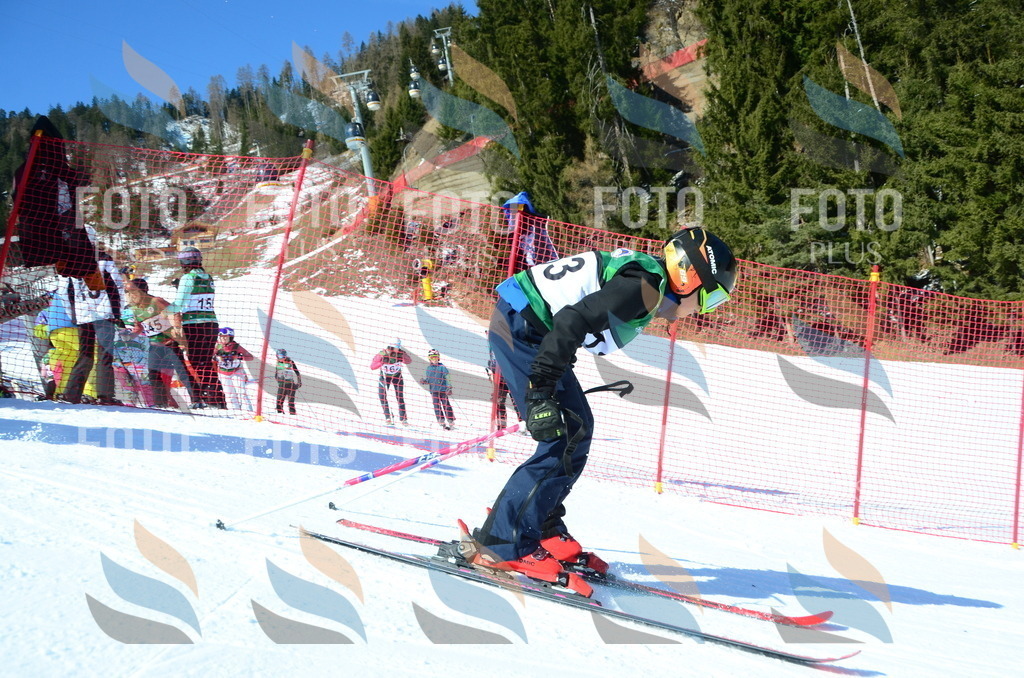 C5980 | holidayphoto