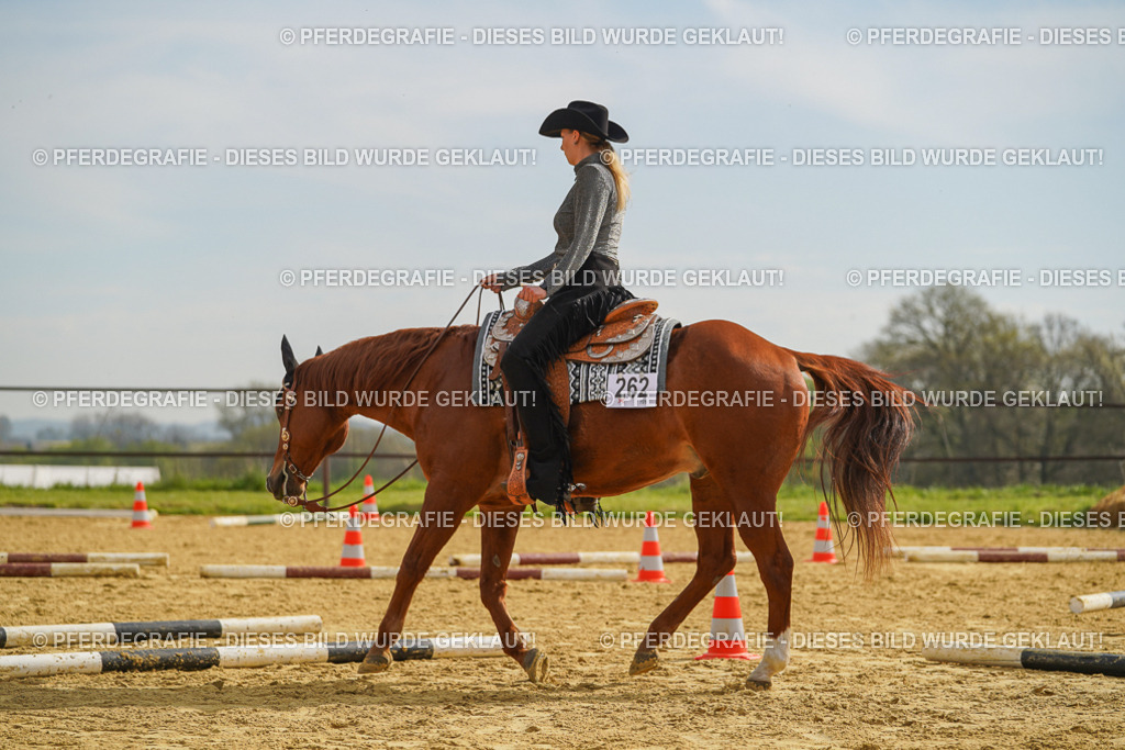 DSC01940 | Pferdegrafie