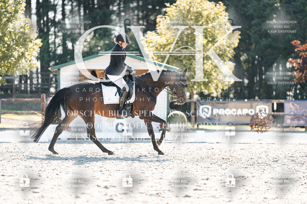 CK906403 | Turnierfotografie Pferdefotografie Trier Rheinland-Pfalz Pferdesport Reitsport Tierfotografie Sportfotografie Pferdevideo Pferdevideografie Equestrianvideography equestrianphotography  - Realisiert mit Pictrs.com