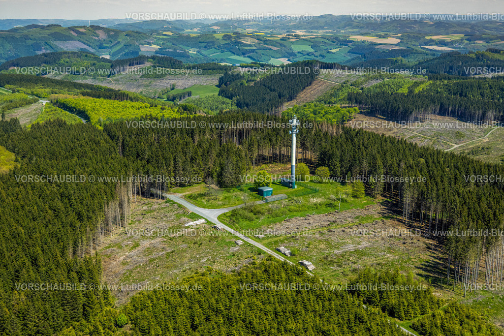 Sundern230505518 | Luftbild, Waldgebiet mit Waldschäden, Sendemast, Niedersalwey, Eslohe, Sauerland, Nordrhein-Westfalen, Deutschland
