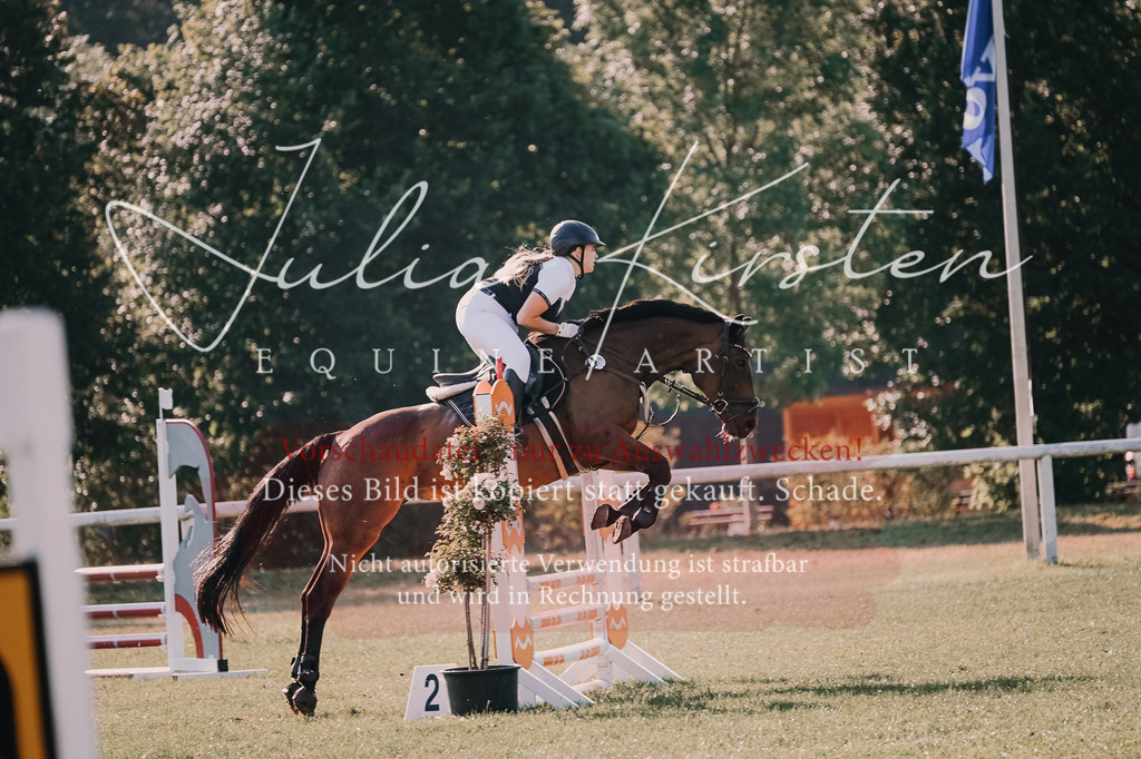 DSC_4590 | Pferde- und Turnierfotografie in Westsachsen. Pferdeportraits, Auftragszeichnungen und intuitive Kunst.