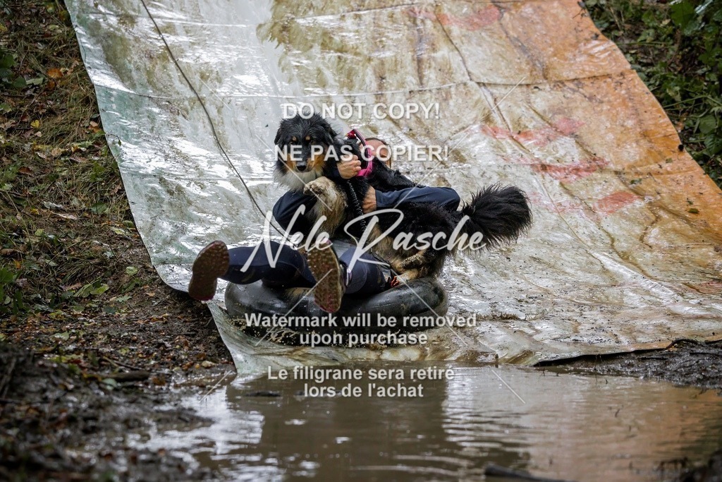 nelerasche_Hunsrück_Sa1300-1400_365-final | nelerasche