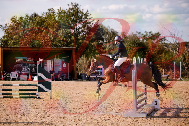 2026_10_03_Siefer-Hof_155332_Z81_73051371 | Professionelle Reitsport-, Turnier- und Eventfotografie von Robert Broda. Galerien mit ausgewählten und bearbeiteten Bildern direkt online ansehen und bestellen.