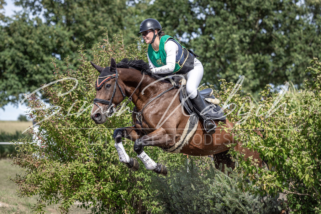 20250907-_3LI0789 | Tierfotografie Pferde, Hunde, Katzen, Haustiere.
Turnierfotografie Reitturniere, Reiten, Springreiten, Dressur in Hanau, dem Main-Kinzig-Kreis und dem Rhein-Main- Gebiet um Frankfurt