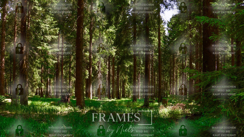 Wald | Frames by Niels – Fotograf aus Wassenberg (Nähe Mönchengladbach). Natürliche Fotos von Menschen, Tieren, Produkten und Architektur. Outdoor-Shootings & professionelle Prints direkt im Shop bestellen oder vor Ort buchen. - Realisiert mit Pictrs.com