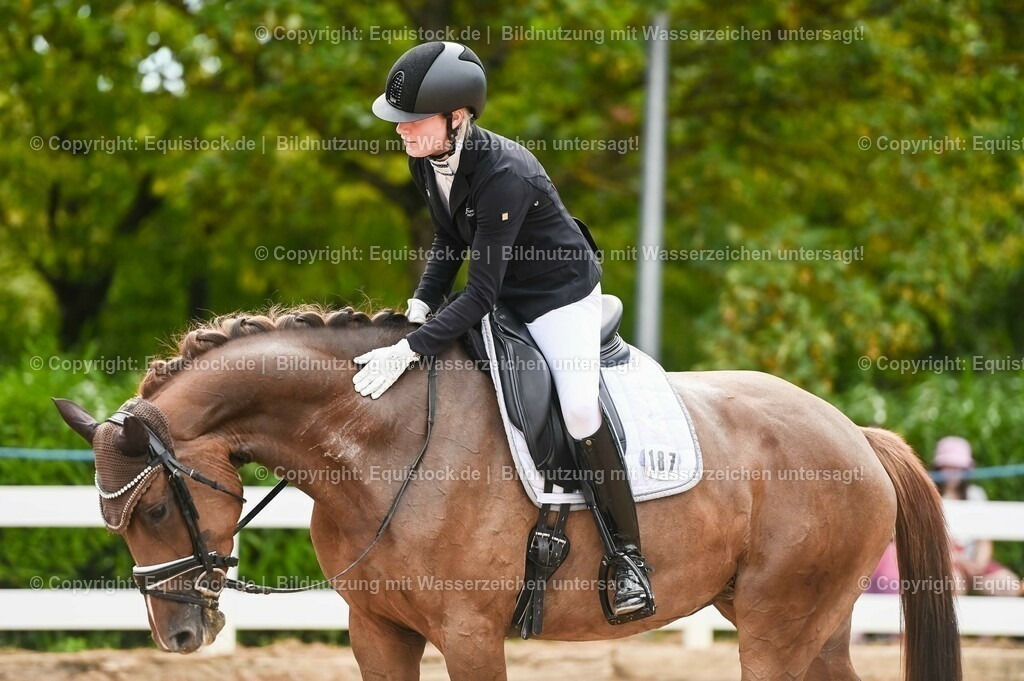 20230715_07_Dressurpferdeprfg. Kl.L_0074 | equistock
