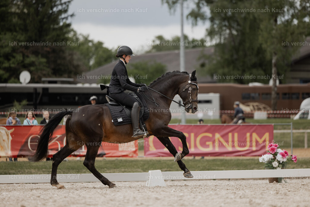 WE_DR_Stoib_309_PI2025_802 | Pferd International München 2025