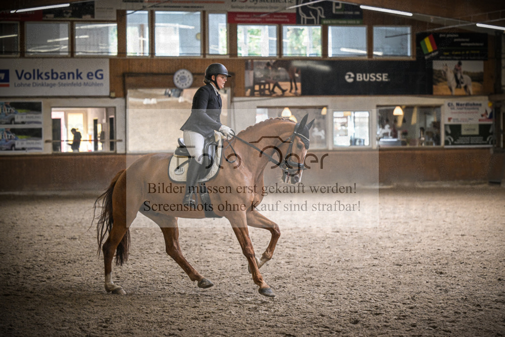 DOS_0696 | Entdecke hochwertige Reitturnierfotos von Foto Oger. Professionell, emotional und authentisch – jetzt Lieblingsmomente im Shop bestellen.Deutschlandweite Turnierfotografie. - Realisiert mit Pictrs.com