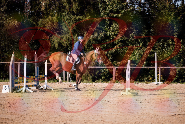 2026_10_03_Siefer-Hof_160654_Z81_88792945 | Professionelle Reitsport-, Turnier- und Eventfotografie von Robert Broda. Galerien mit ausgewählten und bearbeiteten Bildern direkt online ansehen und bestellen.