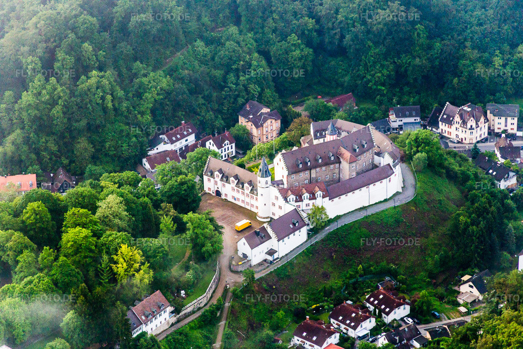 Luftbild: Schloßpark von Schloß Schönberg im Ortsteil Schönberg in Bensheim im Bundesland Hessen in Deutschland. Foto: IMG_089198.jpg vom 25.05.2016 durch Werner Riehm/FLY-FOTO.de