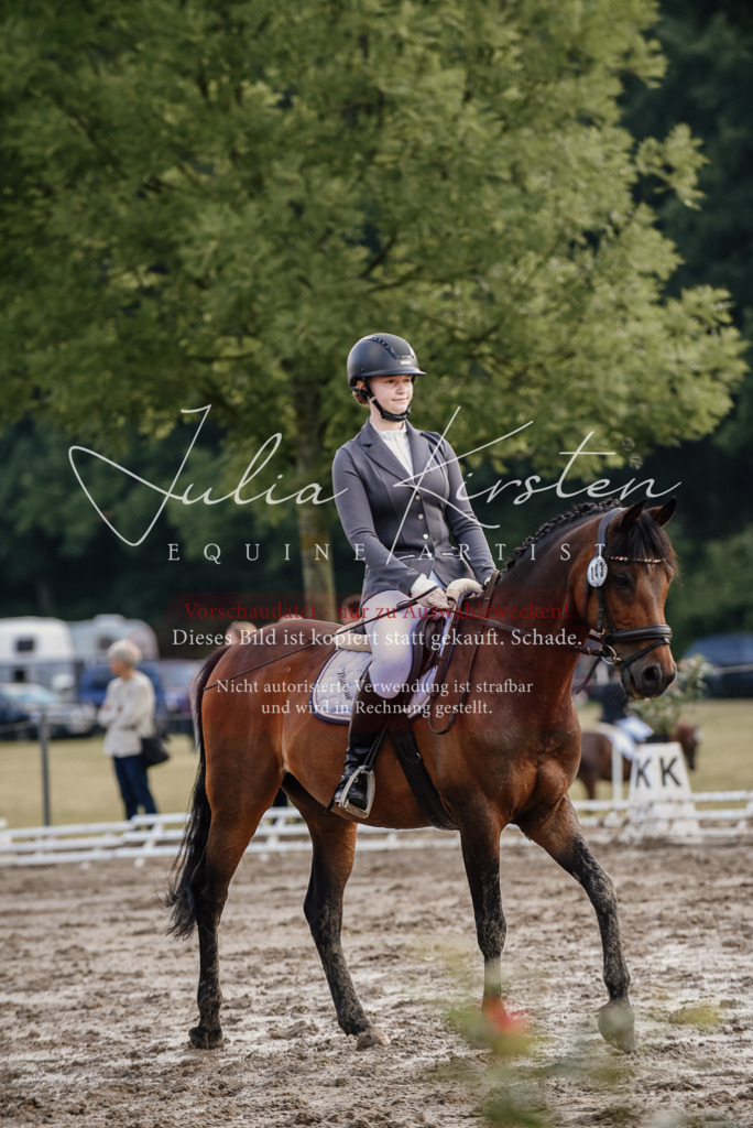 DSC_8289 | Pferde- und Turnierfotografie in Westsachsen. Pferdeportraits, Auftragszeichnungen und intuitive Kunst.