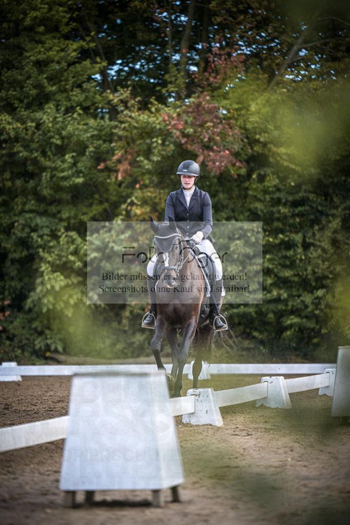 DOS_2041 | Entdecke hochwertige Reitturnierfotos von Foto Oger. Professionell, emotional und authentisch – jetzt Lieblingsmomente im Shop bestellen.Deutschlandweite Turnierfotografie. - Realisiert mit Pictrs.com