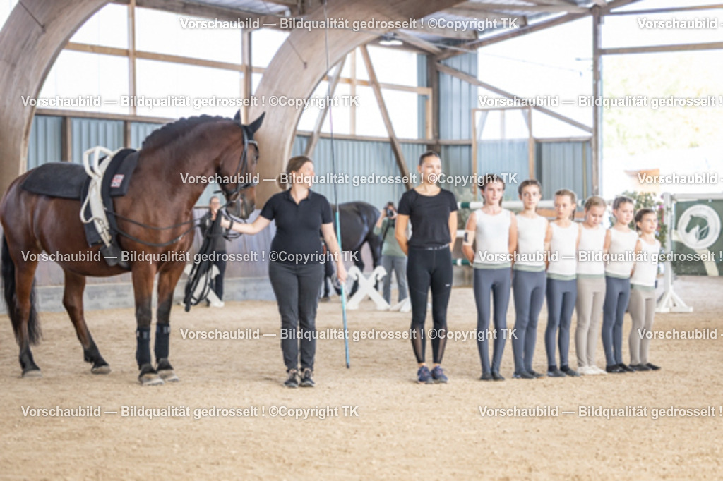 _D5A7101 | Emotionale Pferde- & People-Fotografie rund um Heidelberg, Leimen & Umgebung. Natürliche Fotos von Pferd, Mensch & Familie. Jetzt Termin sichern!
