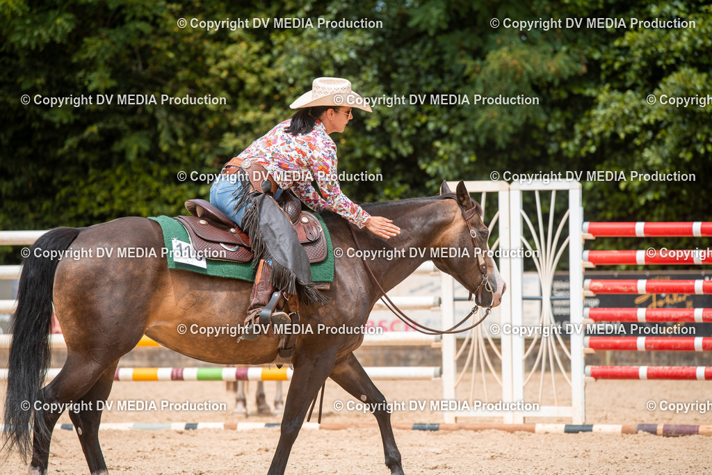 EWP_6295 | dv-media-shop - Realisiert mit Pictrs.com