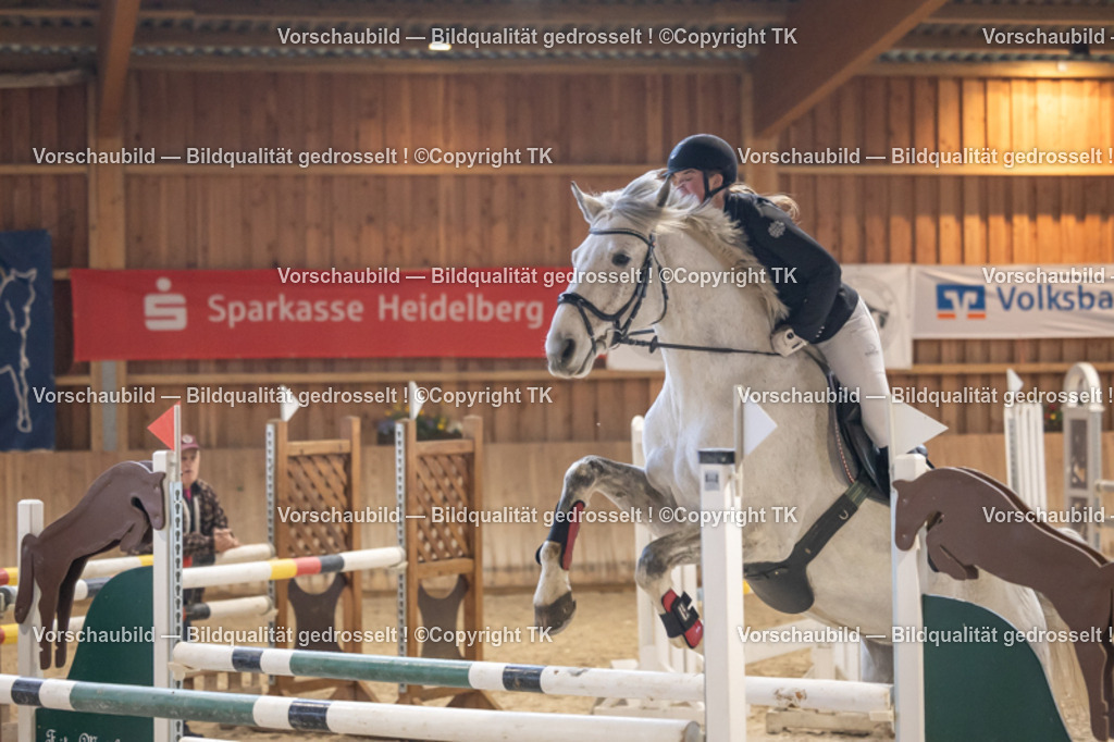 _D5A9340 | Emotionale Pferde- & People-Fotografie rund um Heidelberg, Leimen & Umgebung. Natürliche Fotos von Pferd, Mensch & Familie. Jetzt Termin sichern!