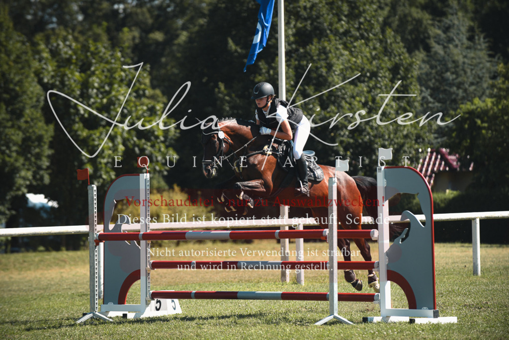 DSC_7209 | Pferde- und Turnierfotografie in Westsachsen. Pferdeportraits, Auftragszeichnungen und intuitive Kunst.