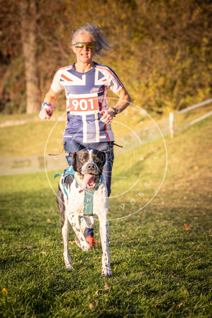 CaniXpix_0L8A1343 | Hundefotografie, Tierfotograf, Pfotenfotografie, Fotoshooting Hund, Hunde Portrait, Hundesport, Hundeportraits, Heideshooting, Hunde, Sportfotograf, Hundefotograf, Turnierhundsport, THS,  - Realisiert mit Pictrs.com