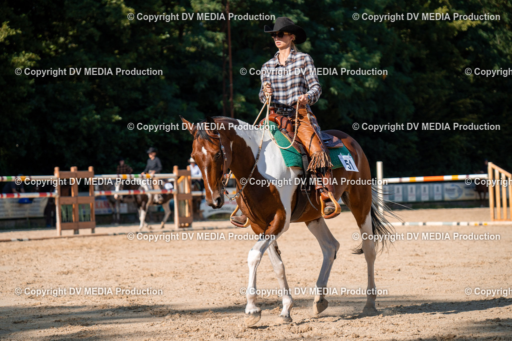 ZH100795 | dv-media-shop - Realisiert mit Pictrs.com