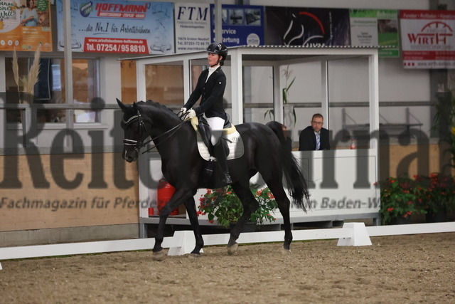 Waghäusel-Wiesental_2024_Prfg.Nr.08_1.WP_U25_Chiara Honermeyer_San Diego 147 (2) | Alle Fotos der Reiterjournal Fotografin Doris Matthaes im Reiterjournal Online-Fotoshop. - Realisiert mit Pictrs.com
