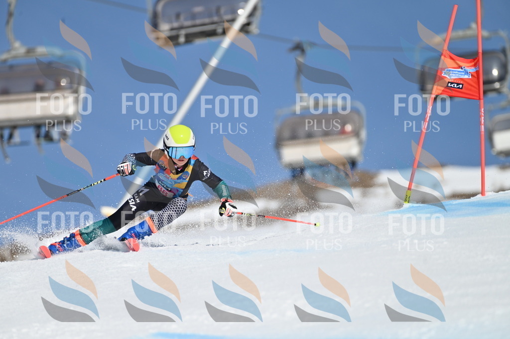 BGV_9208 | holidayphoto