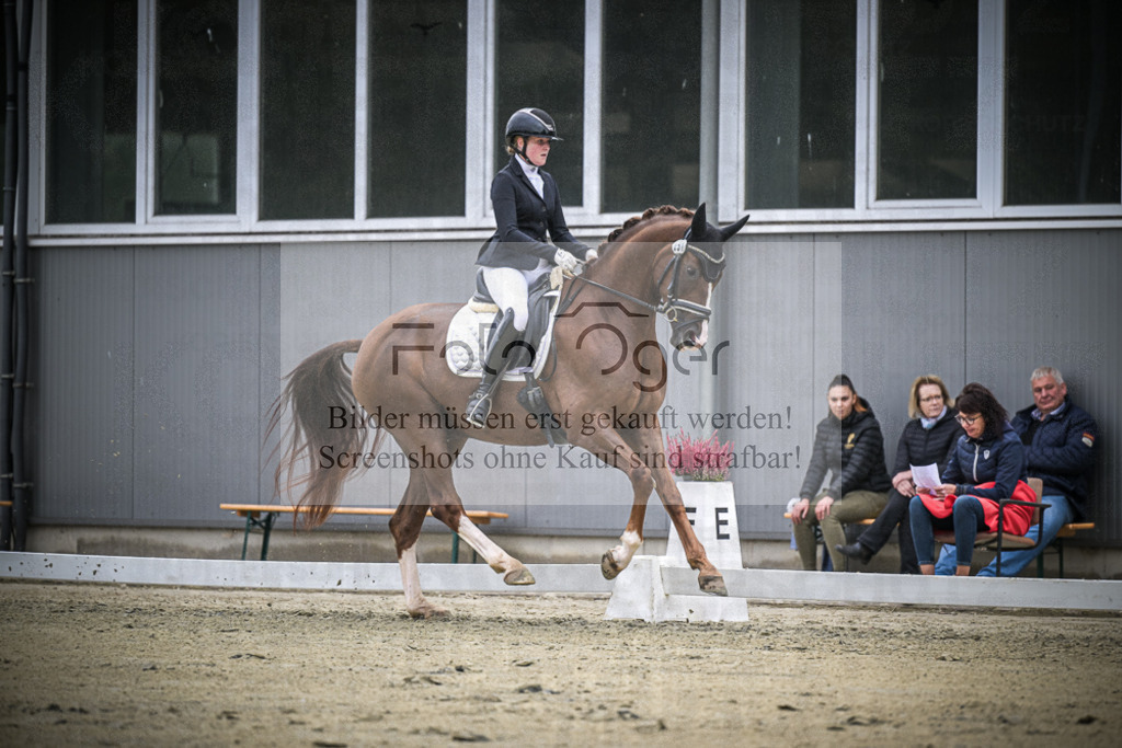 DOS_0762 | Entdecke hochwertige Reitturnierfotos von Foto Oger. Professionell, emotional und authentisch – jetzt Lieblingsmomente im Shop bestellen.Deutschlandweite Turnierfotografie. - Realisiert mit Pictrs.com