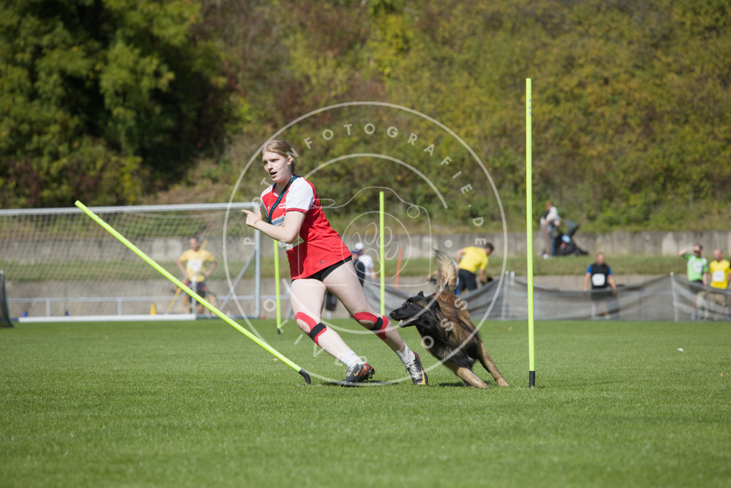 0L8A6057 | Hundefotografie, Tierfotograf, Pfotenfotografie, Fotoshooting Hund, Hunde Portrait, Hundesport, Hundeportraits, Heideshooting, Hunde, Sportfotograf, Hundefotograf, Turnierhundsport, THS,  - Realisiert mit Pictrs.com