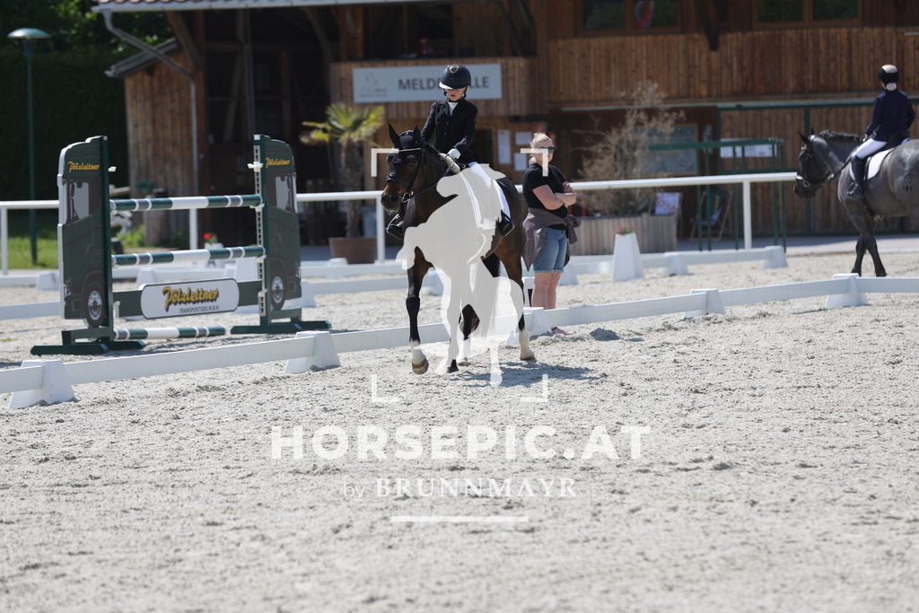 0P6A2175 | Willkommen bei Brunnmayr - Design & Fotografie – Ihrem Spezialisten für Reitturniere und Pferdeveranstaltungen in Oberösterreich, Salzburg und Bayern! Seit über 17 Jahren sind wir leidenschaftlich dabei.