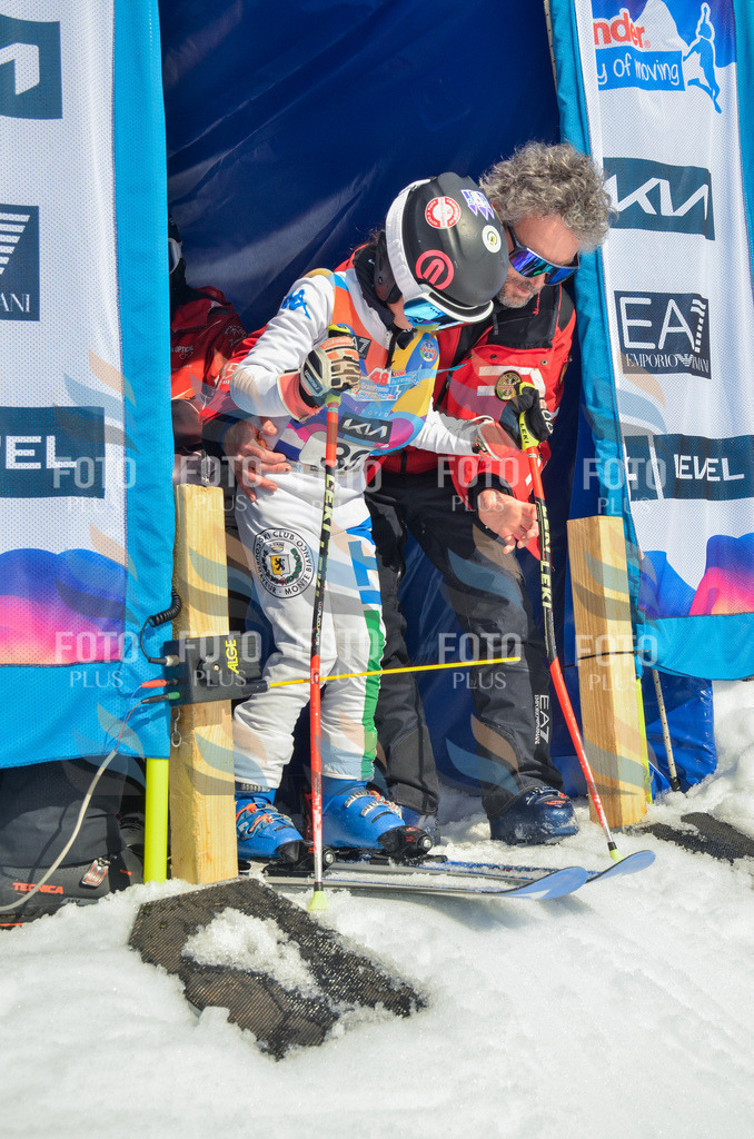 _ELE5001 | holidayphoto