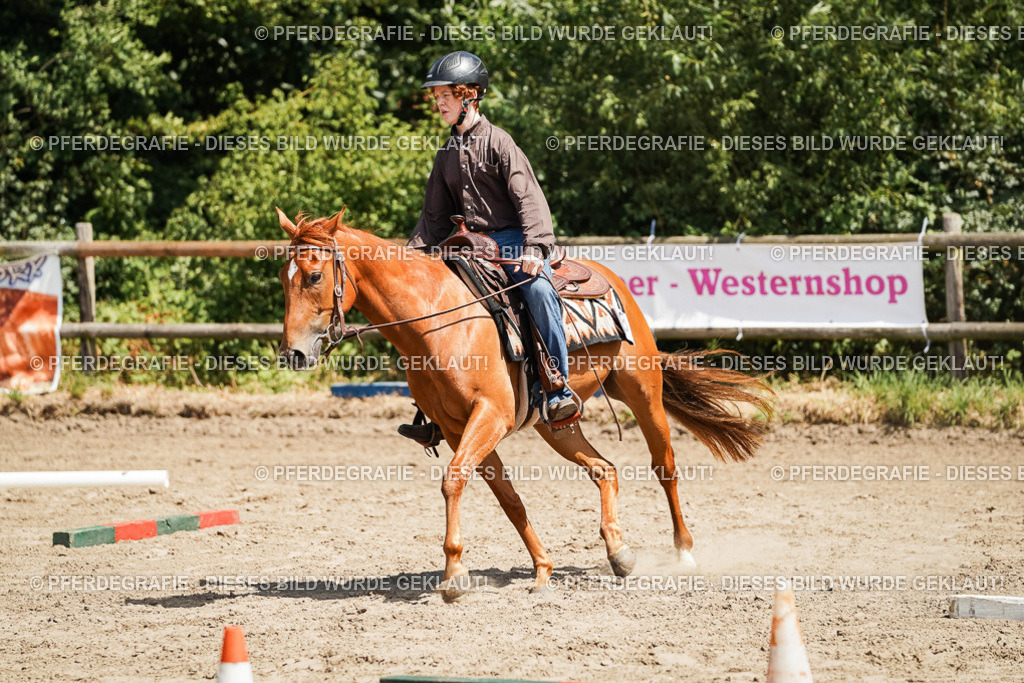 DSC07564 | Pferdegrafie