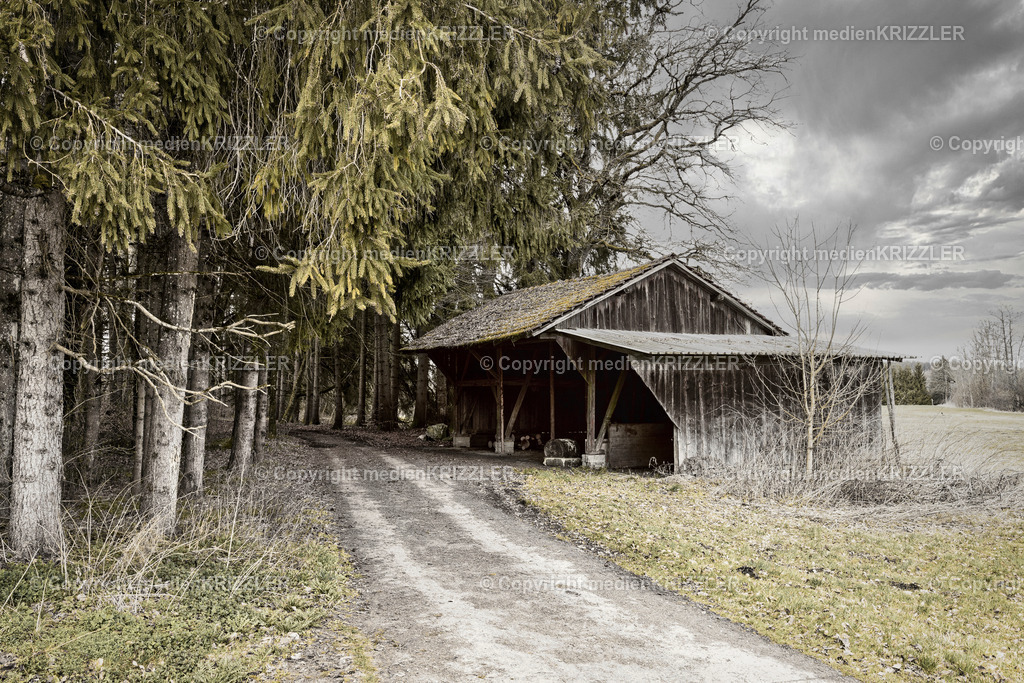 _J3A0380 | medienkrizzler - Realisiert mit Pictrs.com