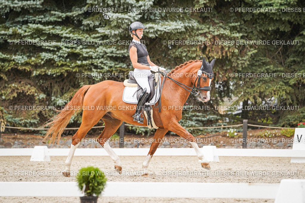 DSC07994 | Pferdegrafie