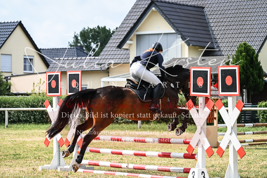 DSC_8255 | Pferde- und Turnierfotografie in Westsachsen. Pferdeportraits, Auftragszeichnungen und intuitive Kunst.