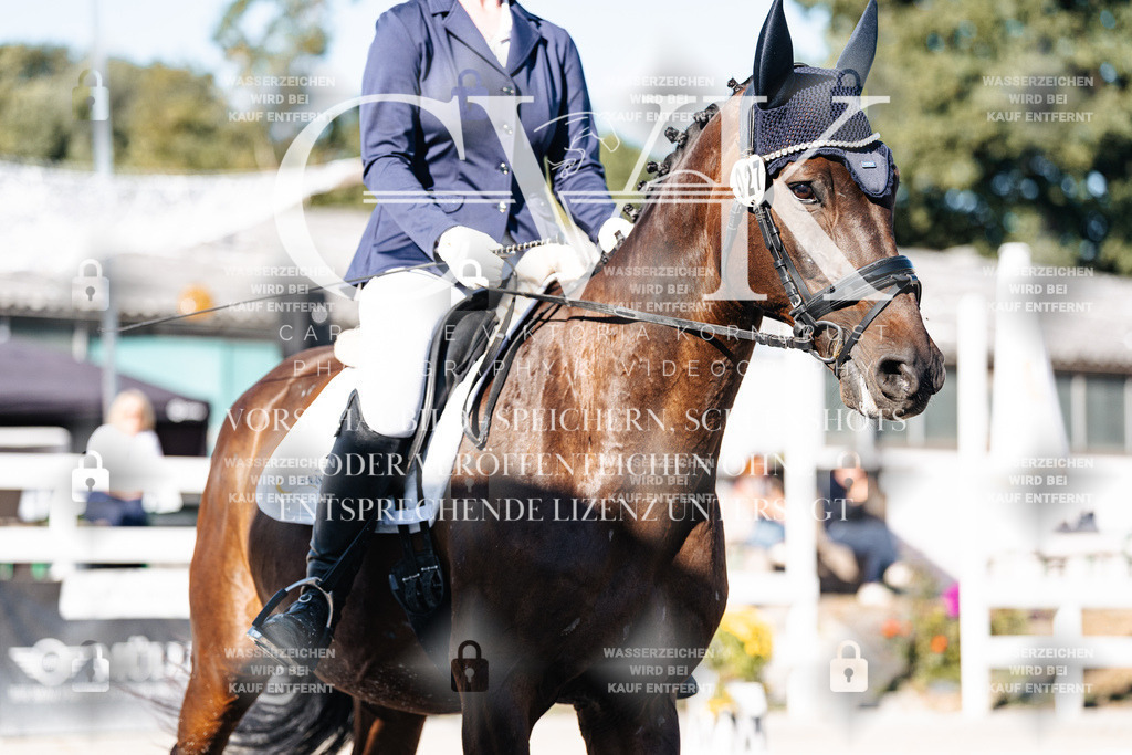 CK907320 | Turnierfotografie Pferdefotografie Trier Rheinland-Pfalz Pferdesport Reitsport Tierfotografie Sportfotografie Pferdevideo Pferdevideografie Equestrianvideography equestrianphotography  - Realisiert mit Pictrs.com