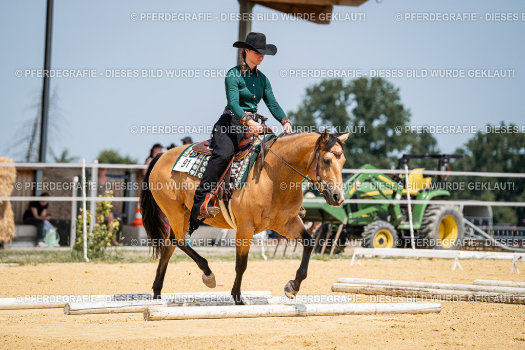 DSC01355 | Pferdegrafie