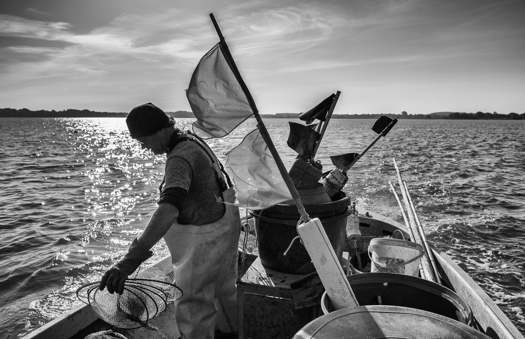 fischer-2019-092 | Matthias Nanz aus Schleswig ist einer der letzten Berufsfischer an der Schlei. Das Foto zeigt ihn auf seinem Boot frühmorgens Ende Mai beim Ausbringen einer Aalreuse auf der Großen Breite der Schlei. - Realisiert mit Pictrs.com