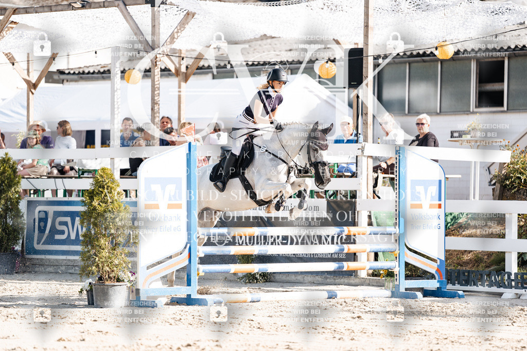 CK909331 | Turnierfotografie Pferdefotografie Trier Rheinland-Pfalz Pferdesport Reitsport Tierfotografie Sportfotografie Pferdevideo Pferdevideografie Equestrianvideography equestrianphotography  - Realisiert mit Pictrs.com