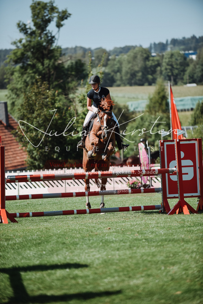 DSC_3102 | Pferde- und Turnierfotografie in Westsachsen. Pferdeportraits, Auftragszeichnungen und intuitive Kunst.