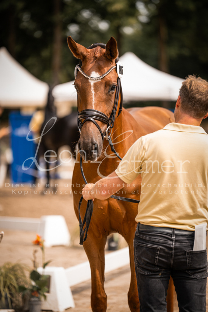 5.Fr00122 | Leoni Ertmer Photography - Realisiert mit Pictrs.com